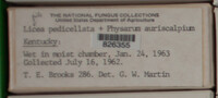 Image Associated With the Occurence